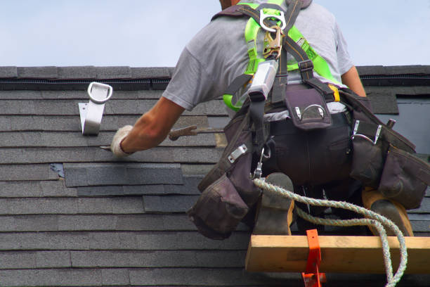 Best Roof Maintenance Services  in Franklinville, NC