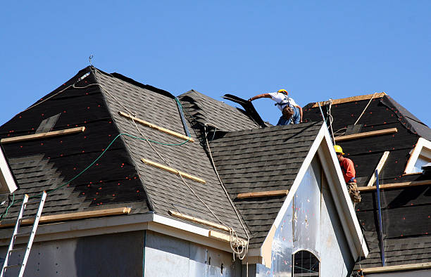 Best Roof Gutter Cleaning  in Franklinville, NC