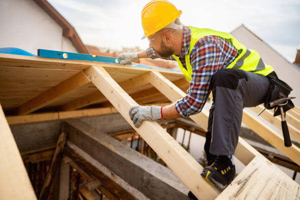 Best Roof Gutter Cleaning  in Franklinville, NC