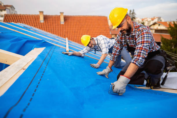 Best Roof Inspection Near Me  in Franklinville, NC